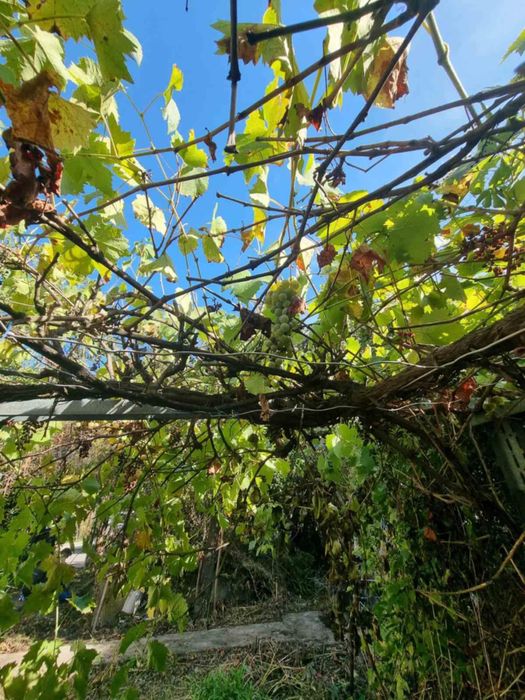 Продава се Къща в София, Орландовци - 110 кв.м за 1546 €/кв.м - Снимка #12