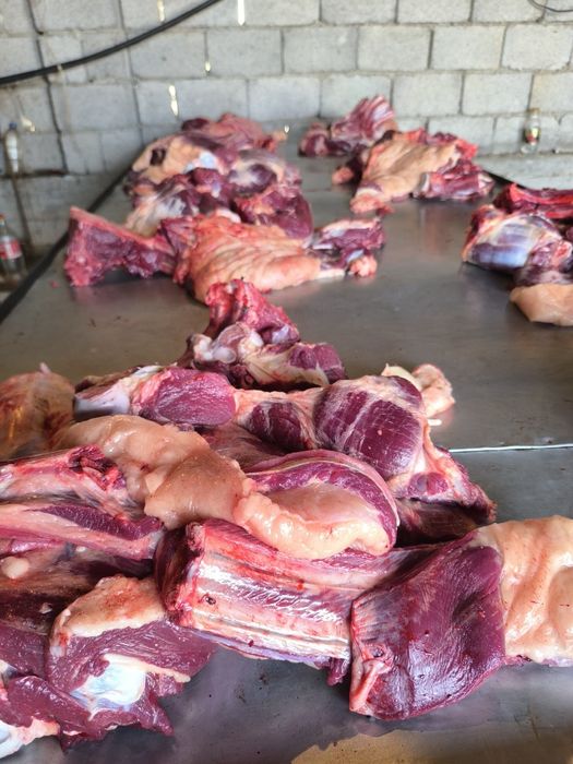 Кременчук секс әуесқойлары