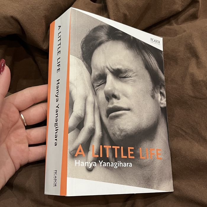 A little life (Hanya Yanagihara)