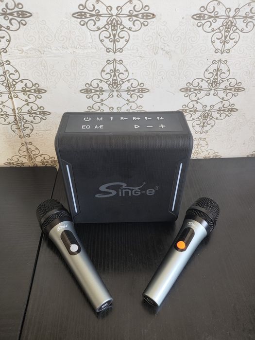 Колонка sing e zqs v100