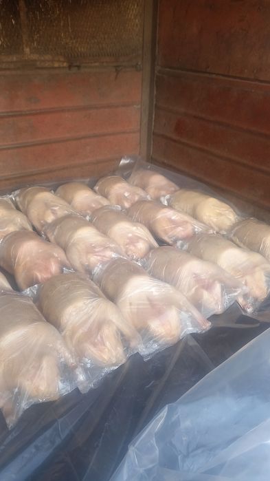 Продам мясо гуся