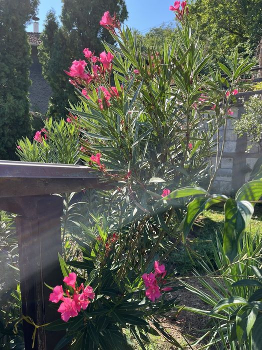 Продава се Къща в Русе, Дружба 1 - 100 кв.м за 650 €/кв.м - Снимка #8