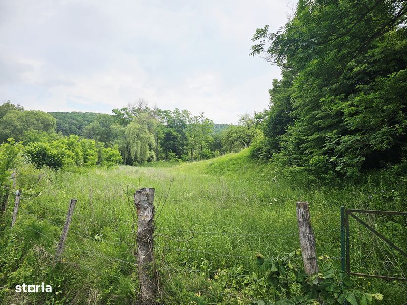 Vanzare teren intravilan, C.U. P+2E, 1659 mp, in Varbilau