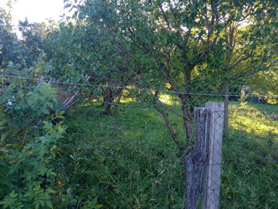 Teren intravilan 1000 mp