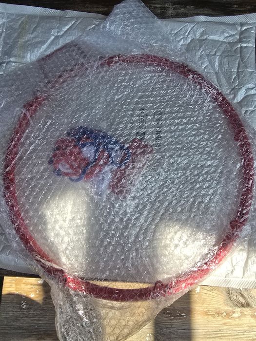 Баскетболен кош / кошове