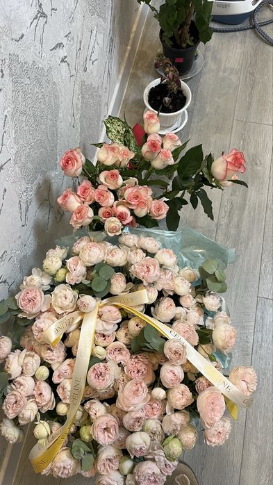Срочно продам цветы от Celine