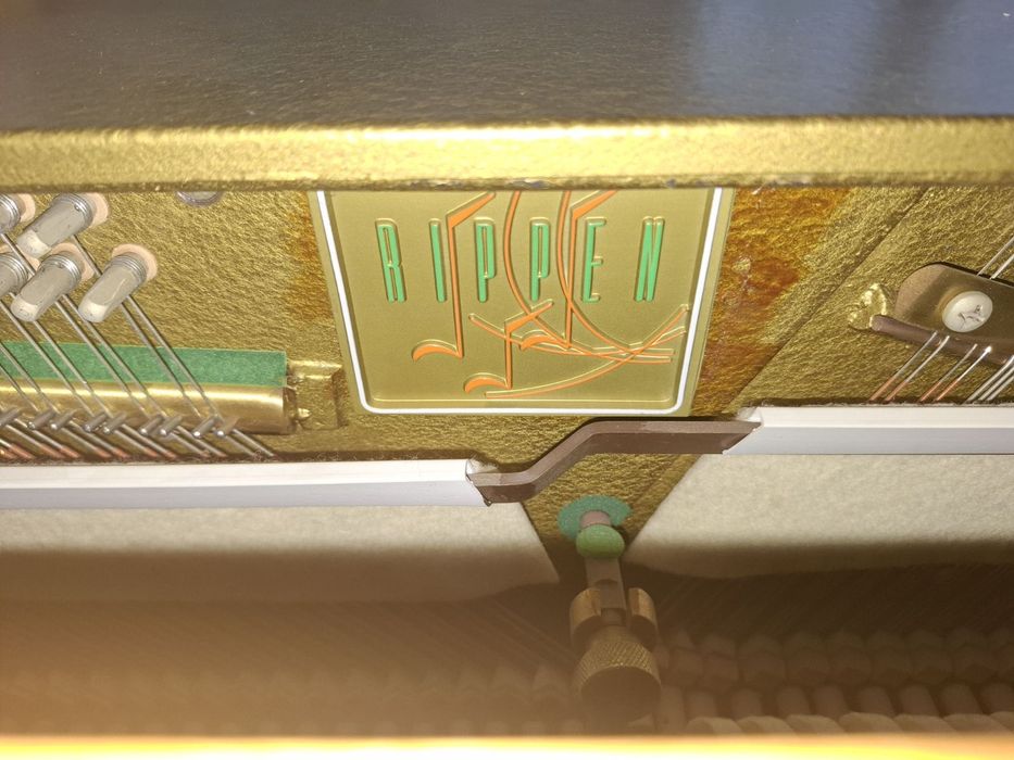 Пиано Rippen с гаранция и собствен лизинг