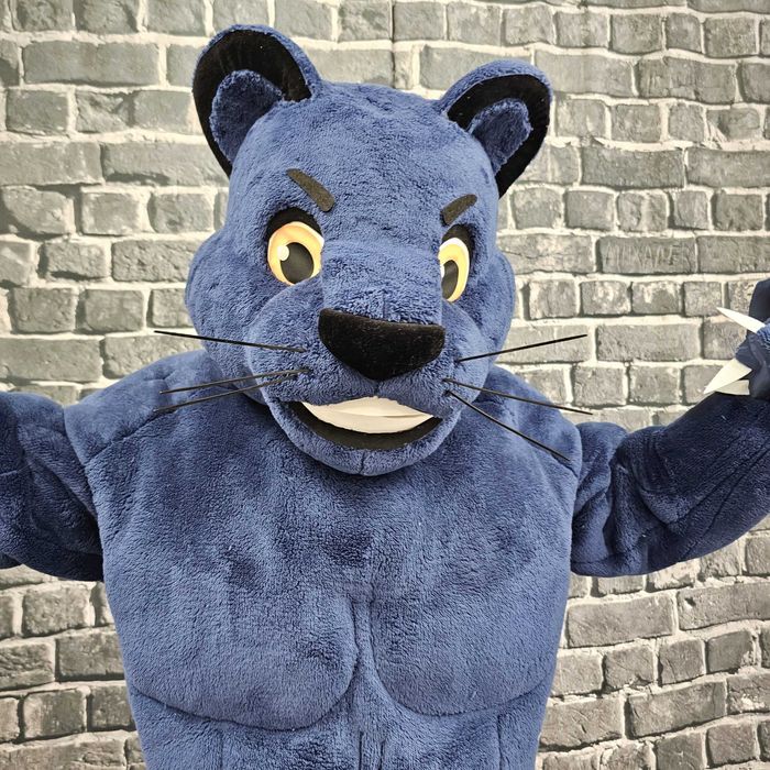 Costum Mascotă Panteră Albastră Musculoasă Profesională Handmade pentru Evenimente și Petreceri