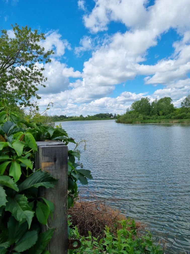 Село на левом берегу ишима