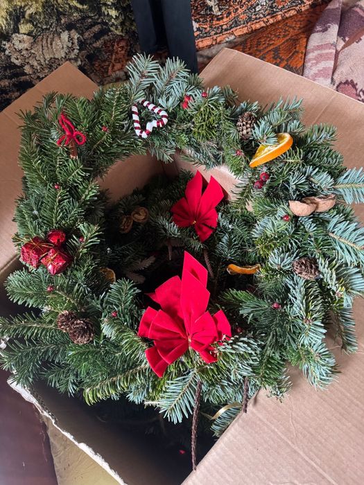 Coronita Brad naturala