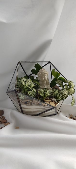 Флорариумы 'вечнозелёные сады'