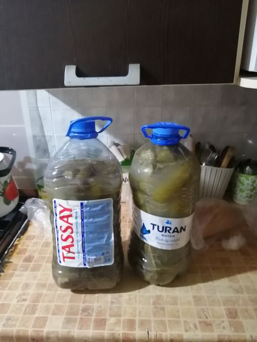 Солёные огурцы продам