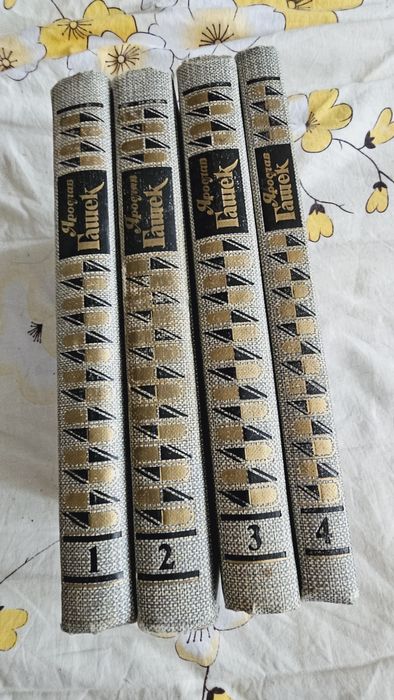 Ярослав  Гашек...