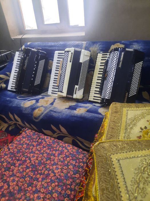Аккордеоны разные