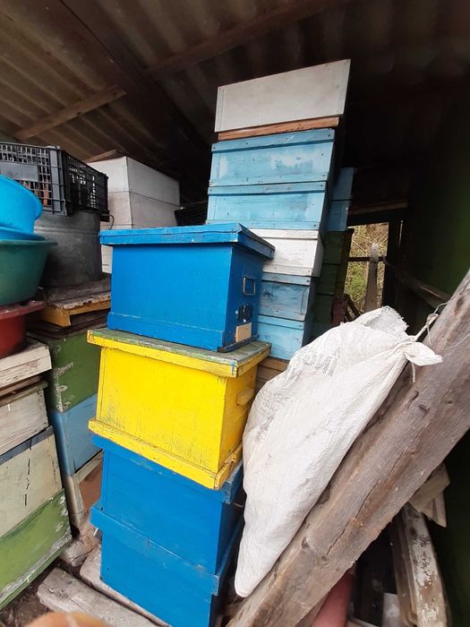 Vand 70 stupi/lazi albine