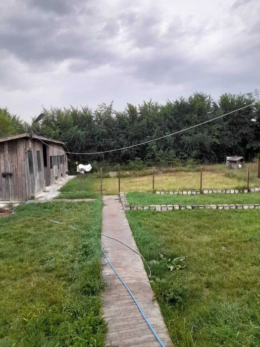 Vand casa la Tara