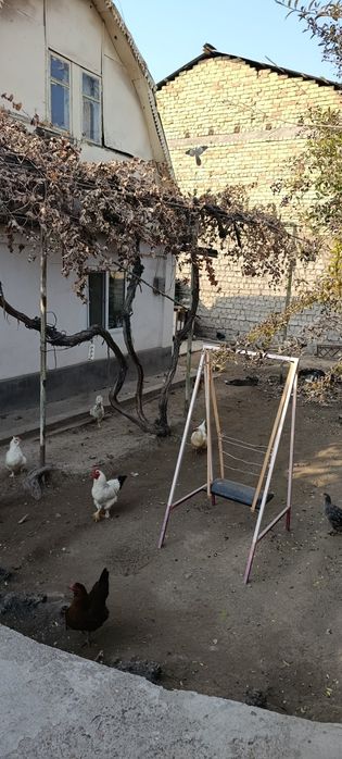 Продаётся дача на Таш-Морем