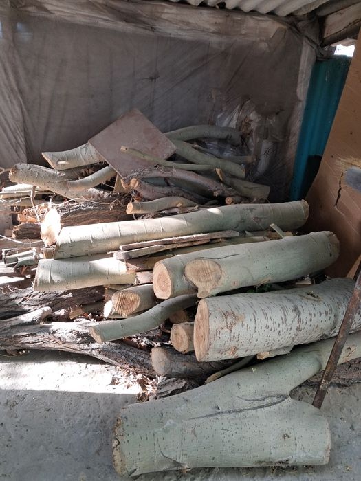 Продам дрова карагач