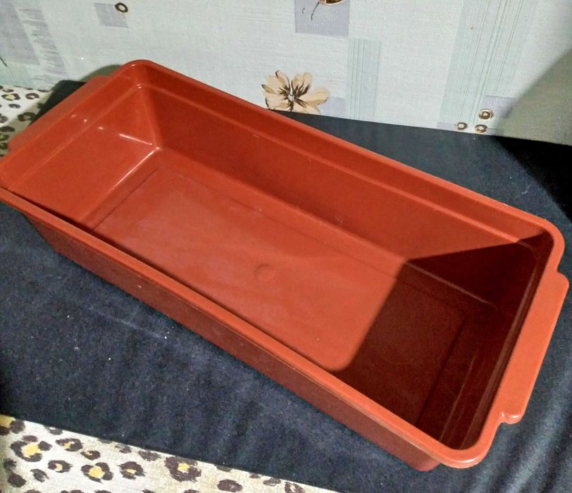 Набор для проращивания зеленого лука