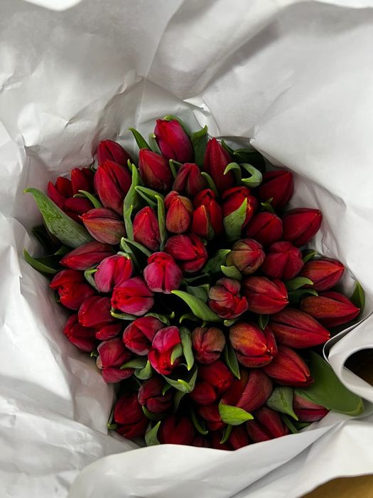 БРОНЬ Тюльпаны на 8 марта