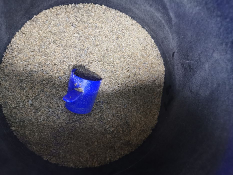 Daphnia la kilogram, Purec Uscat de balta