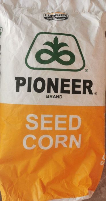 urug sotiladi amazon