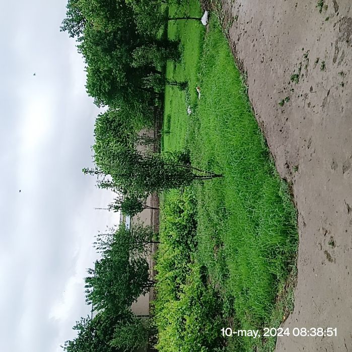 Uchastka joyi sotiladi