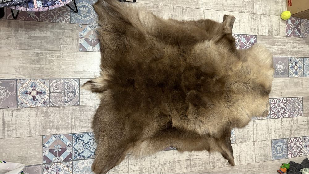 Естествена кожа от северен елен нова