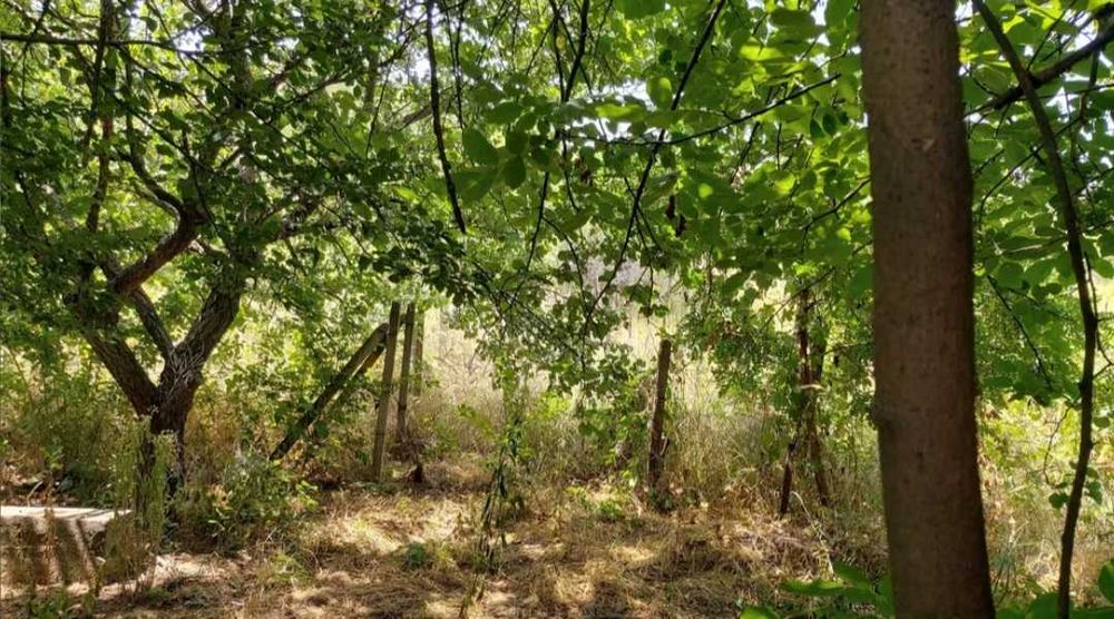 Продава се Земеделски имот в Силистра, Промишлена зона - Юг -  кв.м за 6630 €/дка - Снимка #8