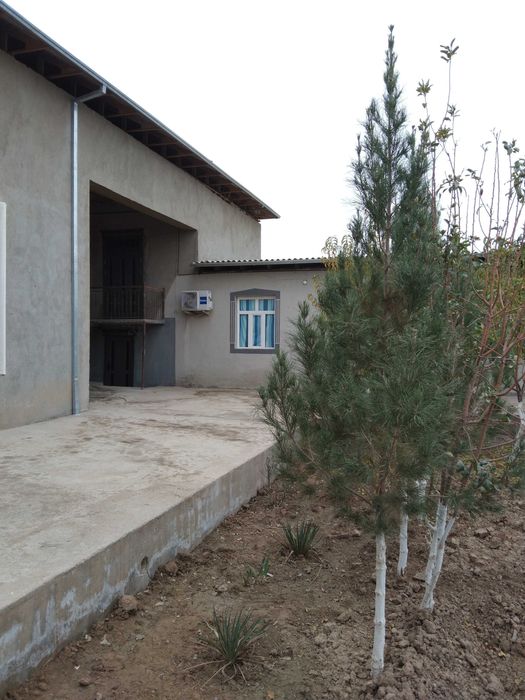 Qarshi shahar Mirmiron Maxallasi