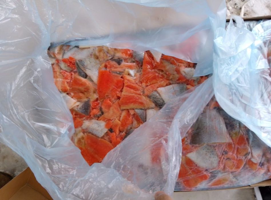 Филе форели на шкурке