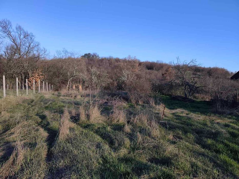 Продава се Парцел в с. Върбен, Област Пловдив - 1300 кв.м за 11 €/кв.м - Снимка #5