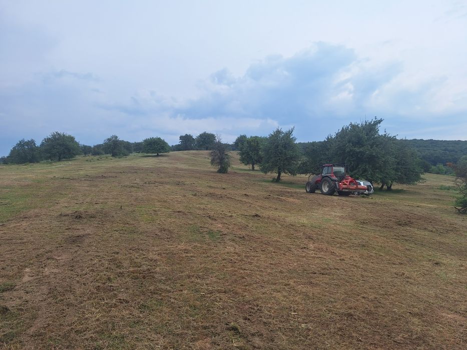 Curatare pasuni și terenuri împădurite