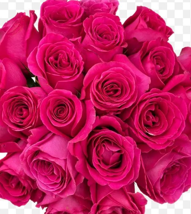 Доставка цветов Гулдер