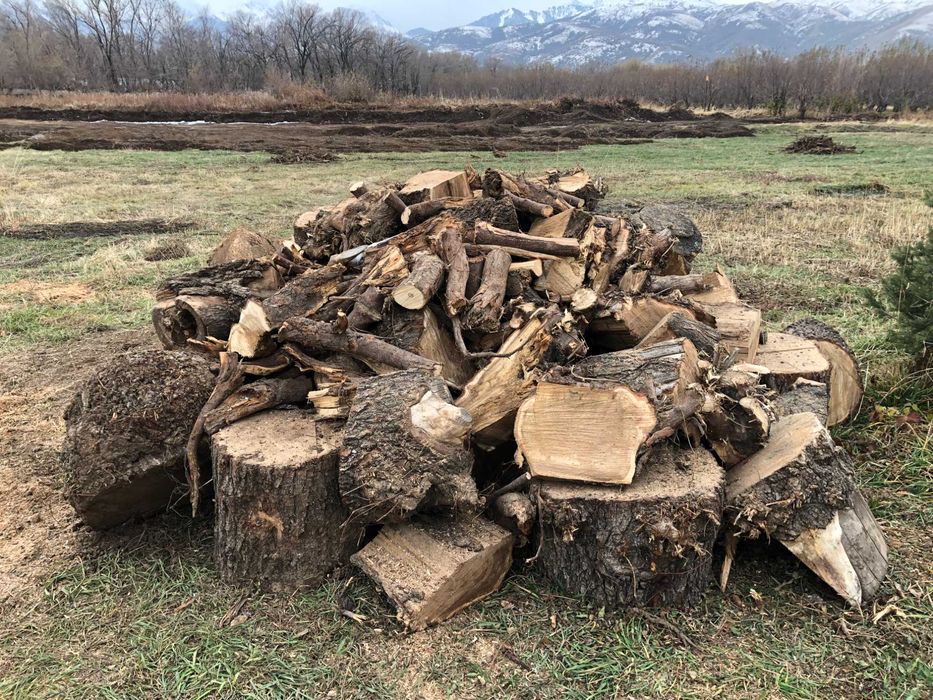 Продам дрова пиленные