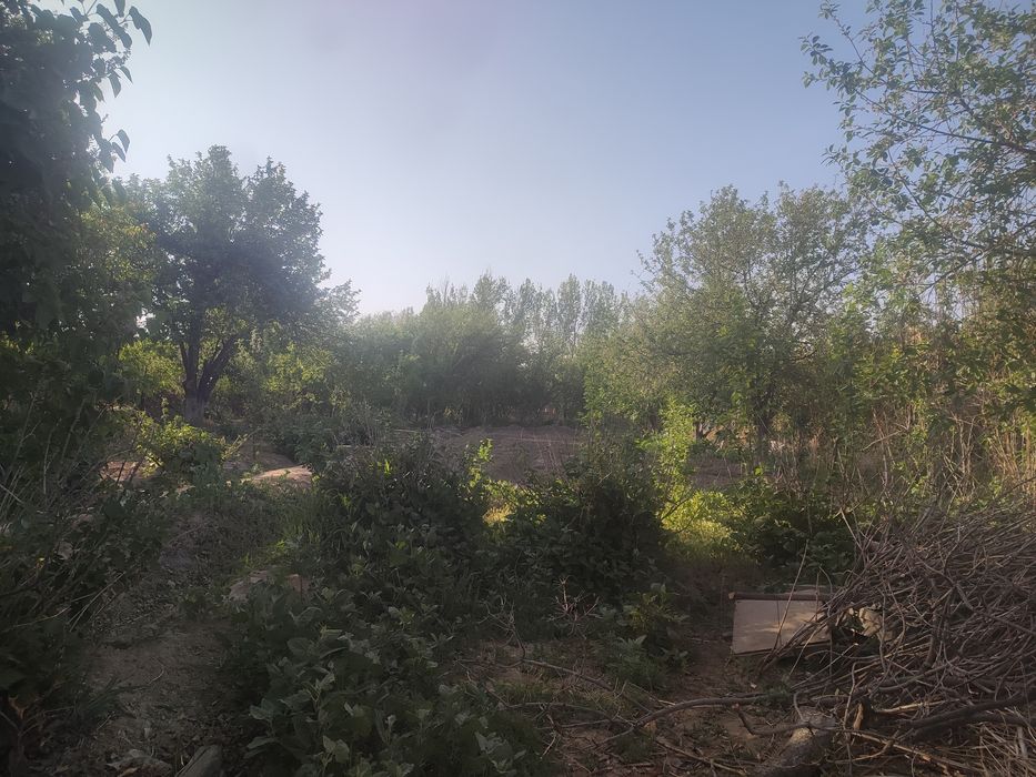 Дача сатылады арол