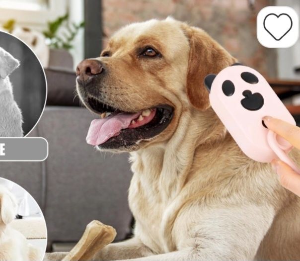 Perie cu aburi pentru caini/pisici