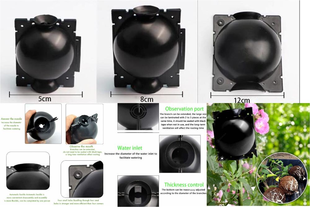 Inradacinare plante pe creanga! Magnolia, trandafir, etc Nou ambalata!