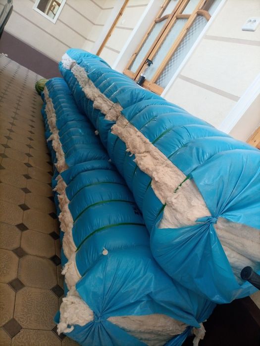 Paxta Toshkent boʻylab OPTUM narxlarda.