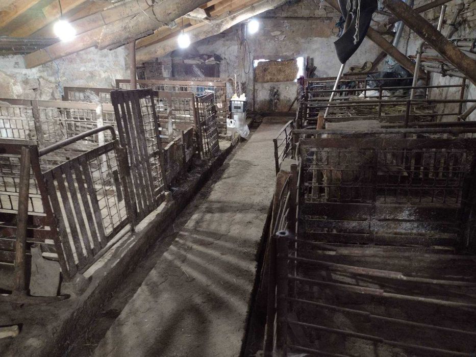 Продава се Промишлена сграда в Пловдив, Кършияка - 5000 кв.м за 20 €/кв.м - Снимка #2