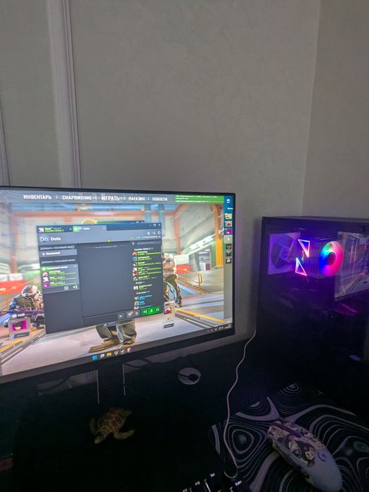 Asus RX 6600 8gb