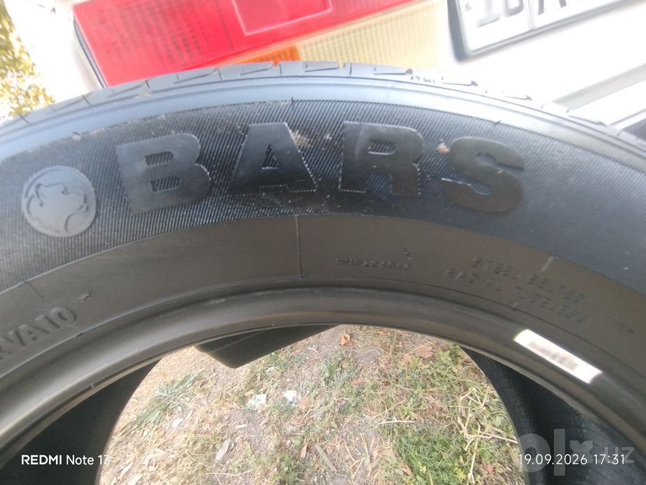 Bars balon razmer 16