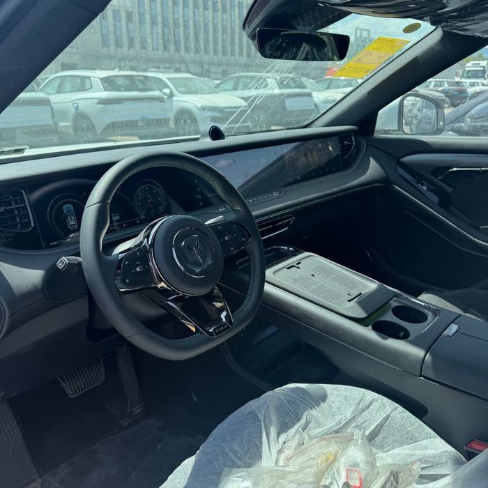 Voyah free 2025/25 318-model Qorga/Qora