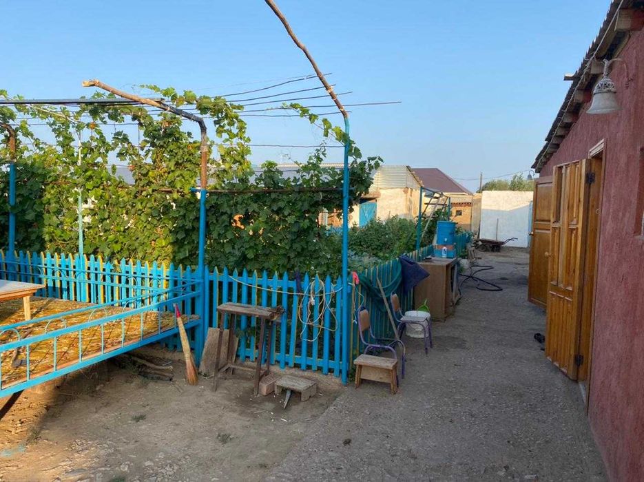 Отличные соседи, отличная цена.