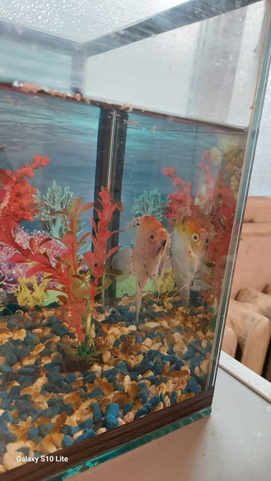 Продам аквариум 30литр