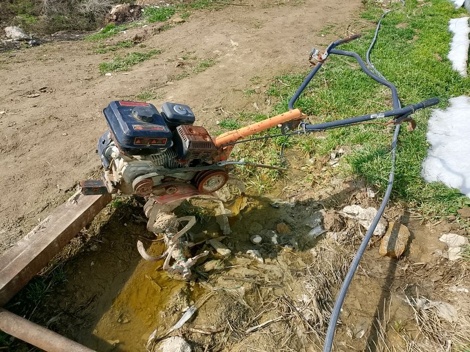 Порно жатырдың ішін айналдырды