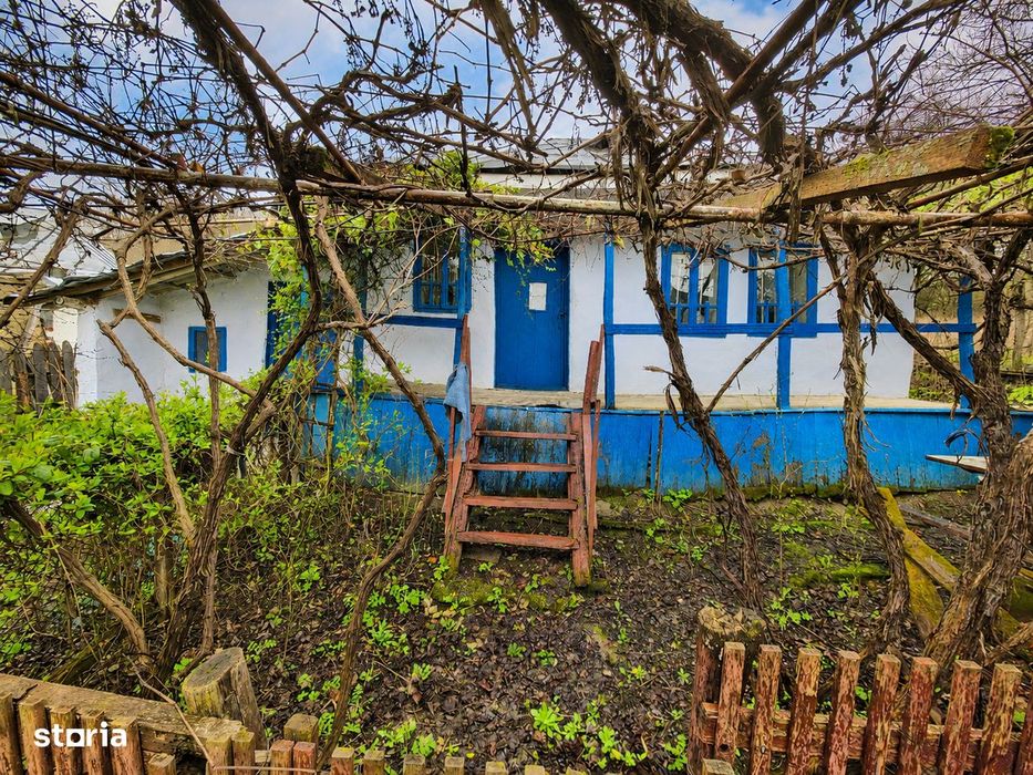 Teren de vanzare + casa in Gorghesti, Bacau – 7.391 mp, zona linisti