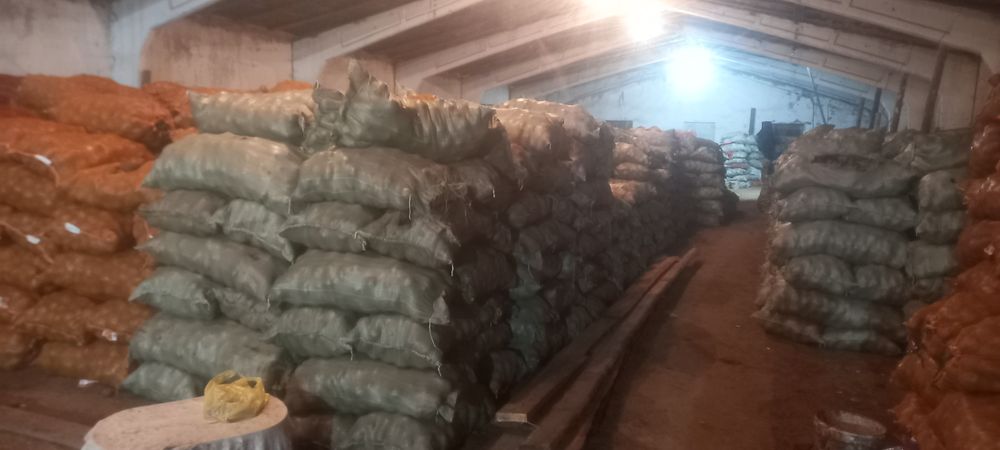 Продам картошку со склада Кх