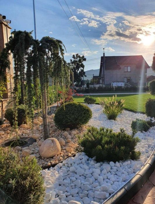 Plante Ornamentale și Design pentru Curtea Ta | Green Eco Garden