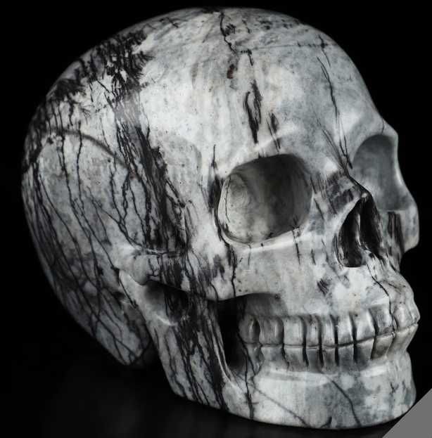Craniu Cristal Natural - Jasp Black Network (~1 kg)